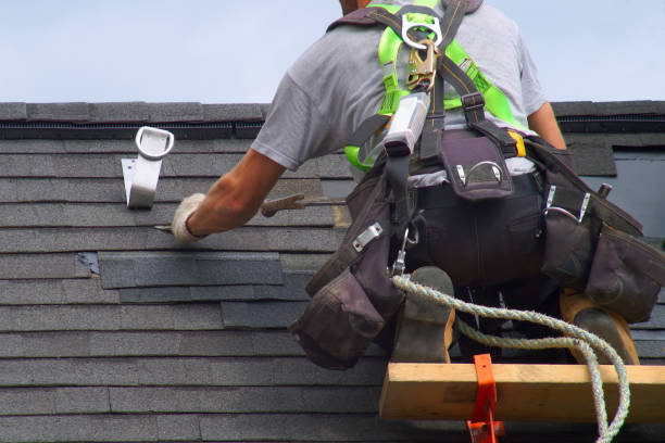 Best Roof Ventilation Installation  in Albert Lea, MN